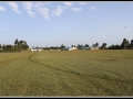 Pista de atletismo